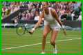 Wimbledon 2021: Aryna Sabalenka vs Karolina Pliskova Preview, Head to Head and Prediction